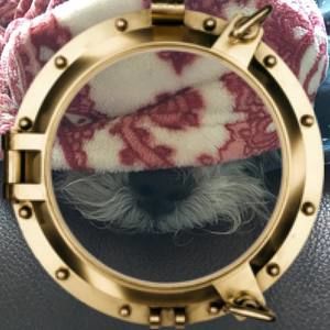 Meet your Posher, Monique